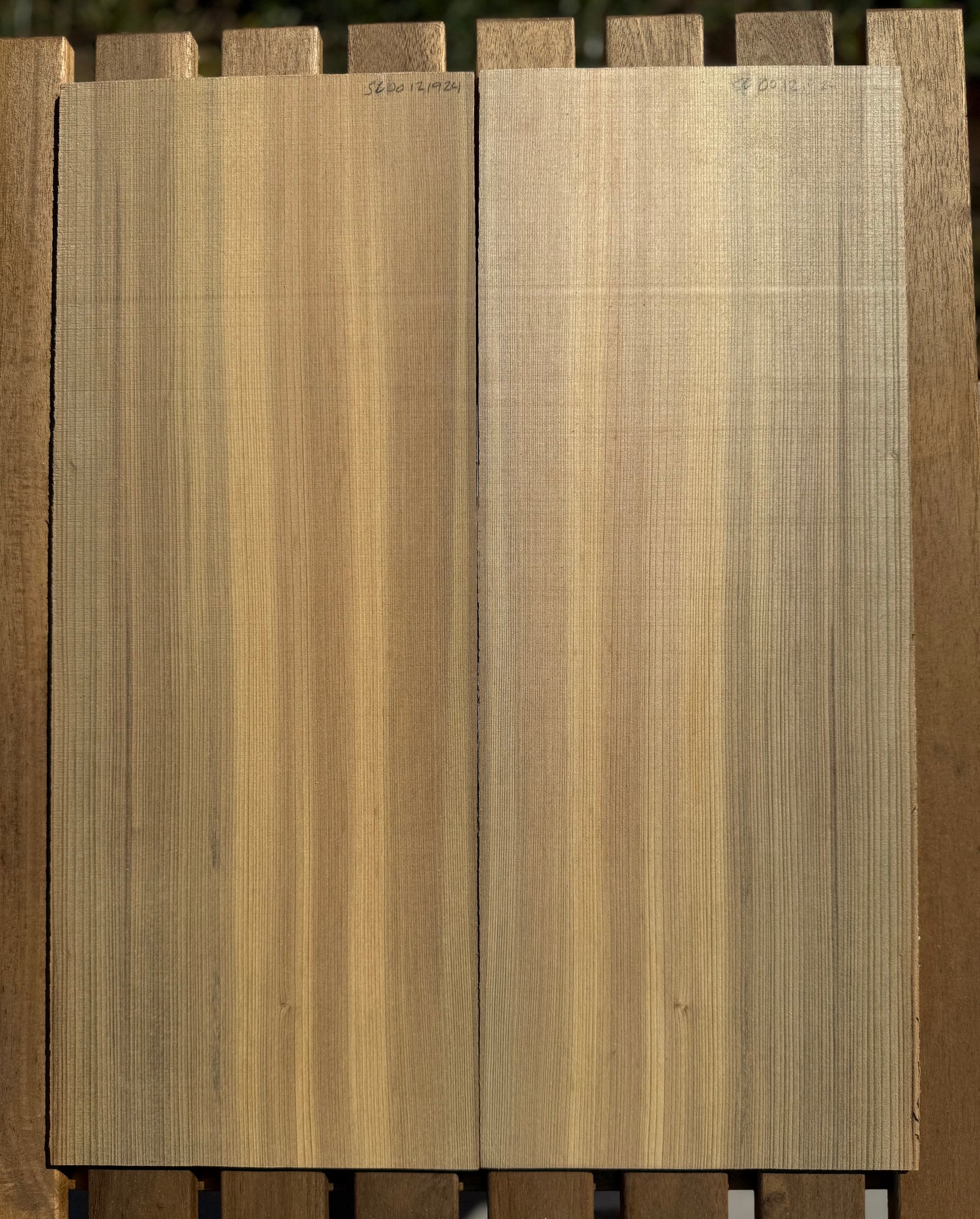 Sinker Cypress