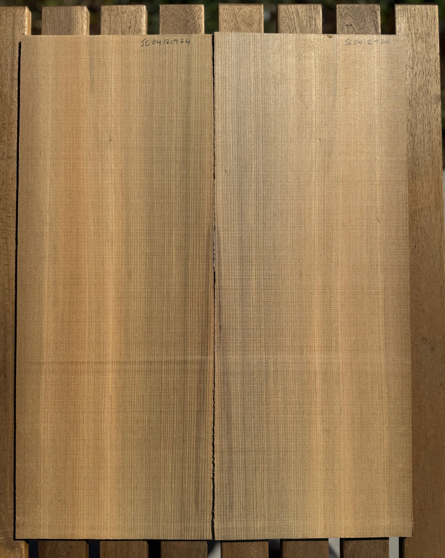 Sinker Cypress
